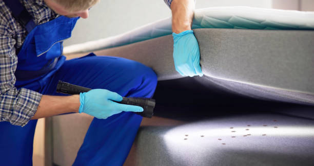 Best Affordable Pest Control Services  in San Carlos, AZ